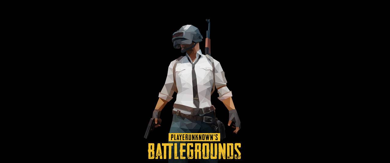 pubg绝地求生大逃杀海报带鱼屏壁纸