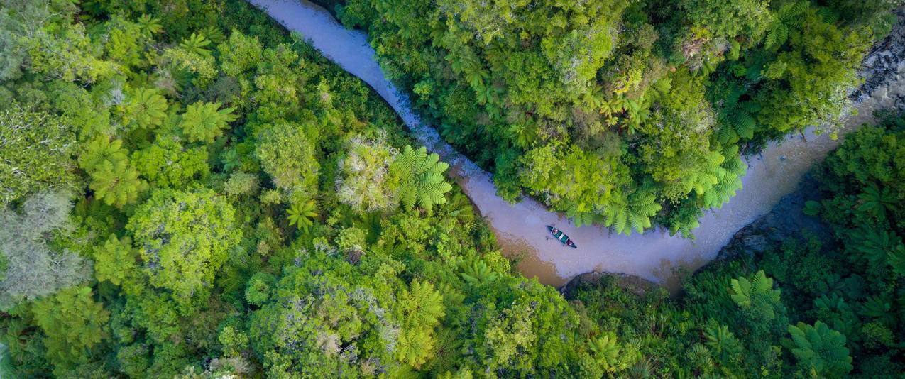俯视 树林河流3440x1440带鱼屏风景壁纸