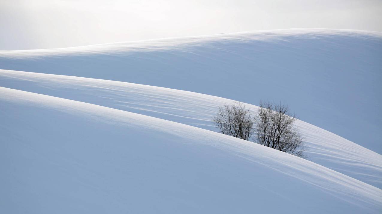 雪景5k壁纸