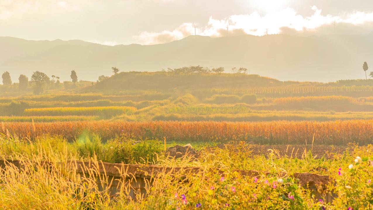 田野 4k秋色 风景壁纸