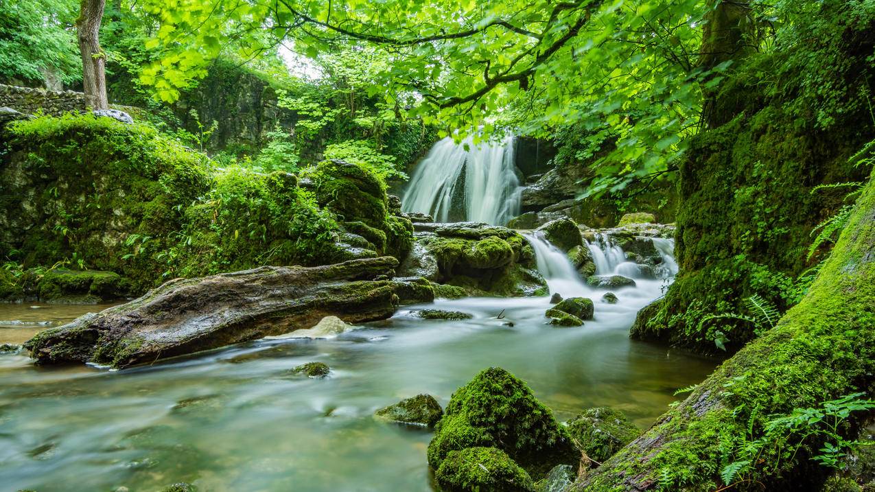 自然森林瀑布绿色树林风景4k壁纸