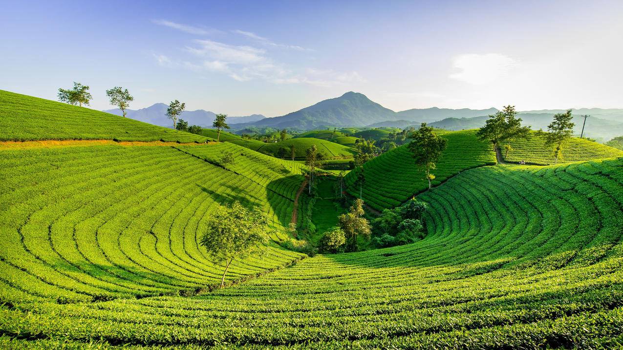 山峦 山 绿色 护眼 风景 4k电脑壁纸 4k手机壁纸