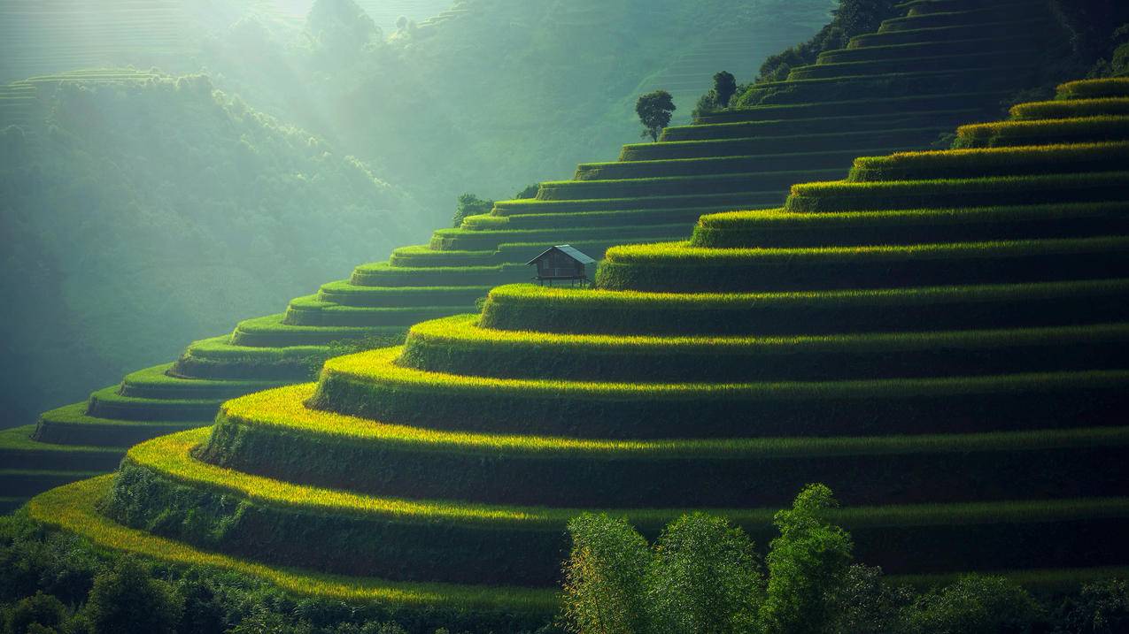 梯田 绿色 风景 4k电脑壁纸