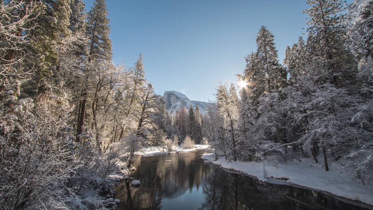 风景雪景冬日暖阳河流森林4k高清壁纸