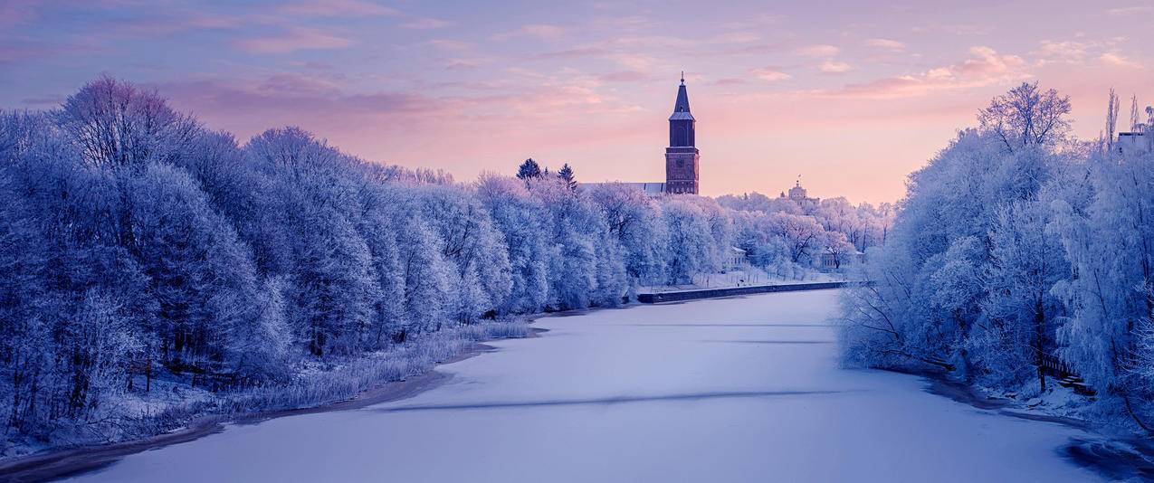 紫色 浪漫 雪景 5k 风景 壁纸