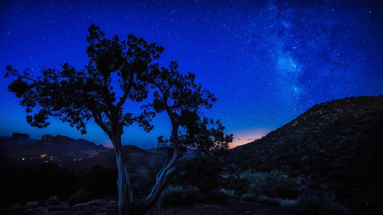 星空夜景树木4k壁纸