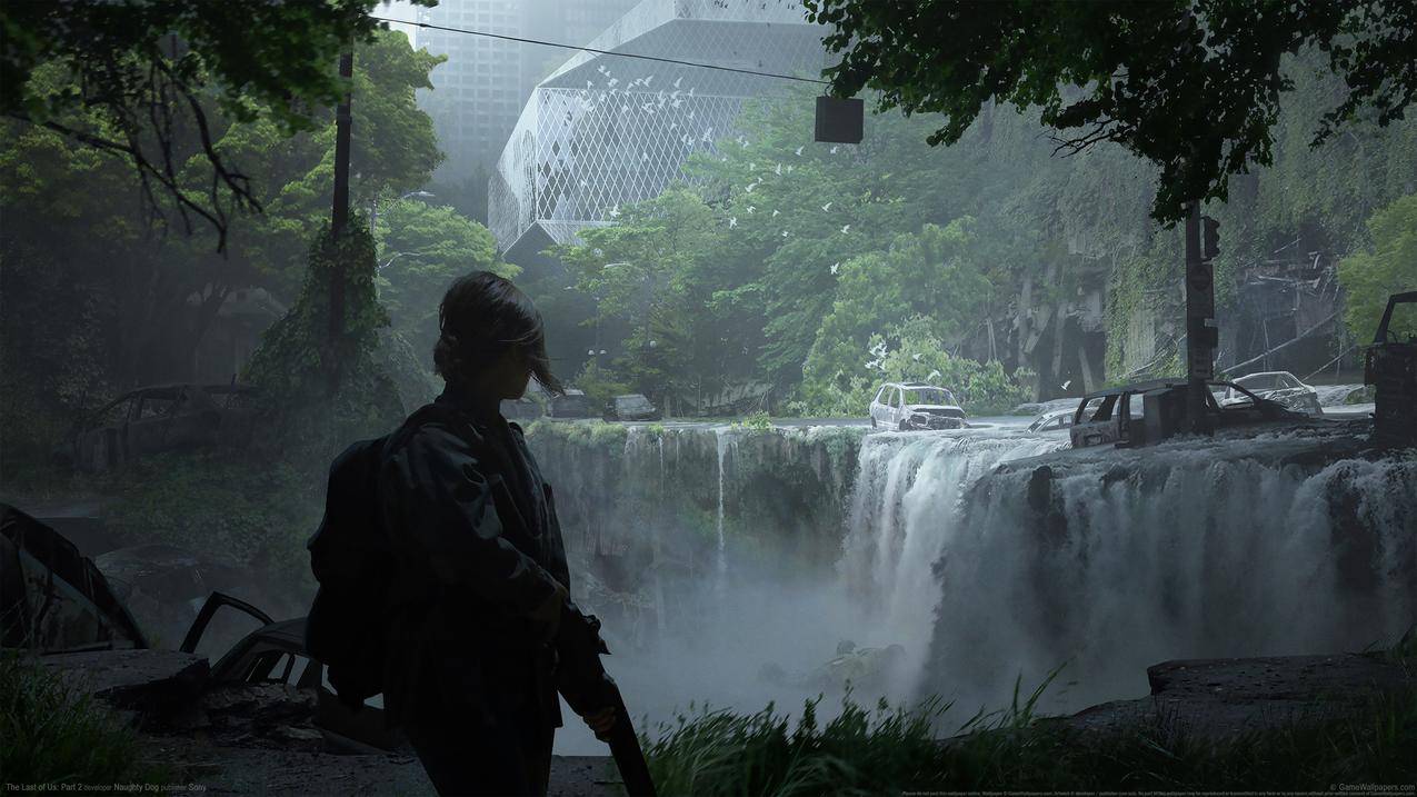 《最后生还者2(The Last of Us_ Part 2)》女主角 4k游戏壁纸