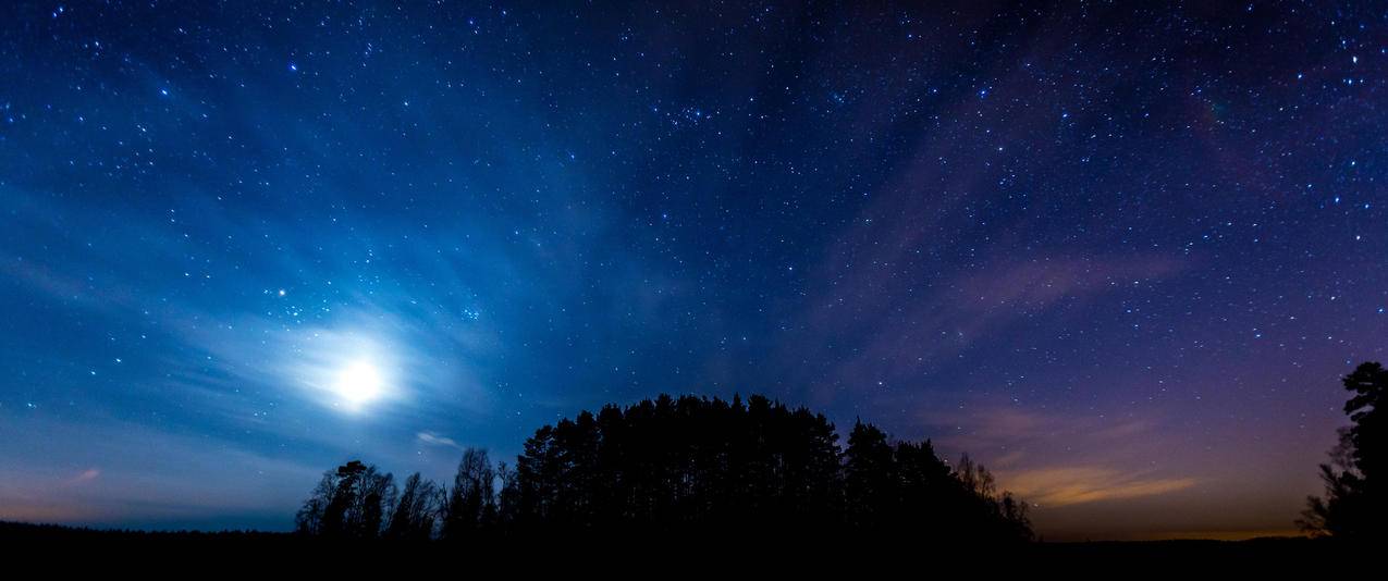 夜晚星空树林风景带鱼屏壁纸