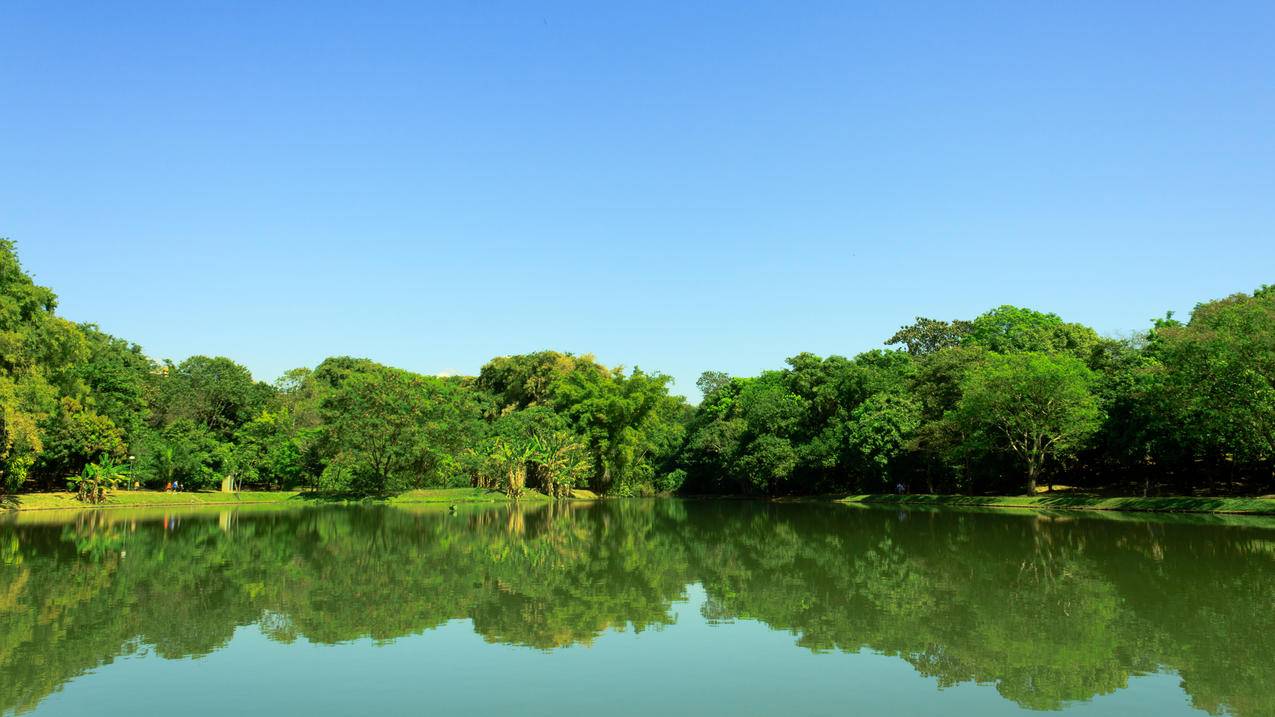 湖公园树木天空风景4k壁纸