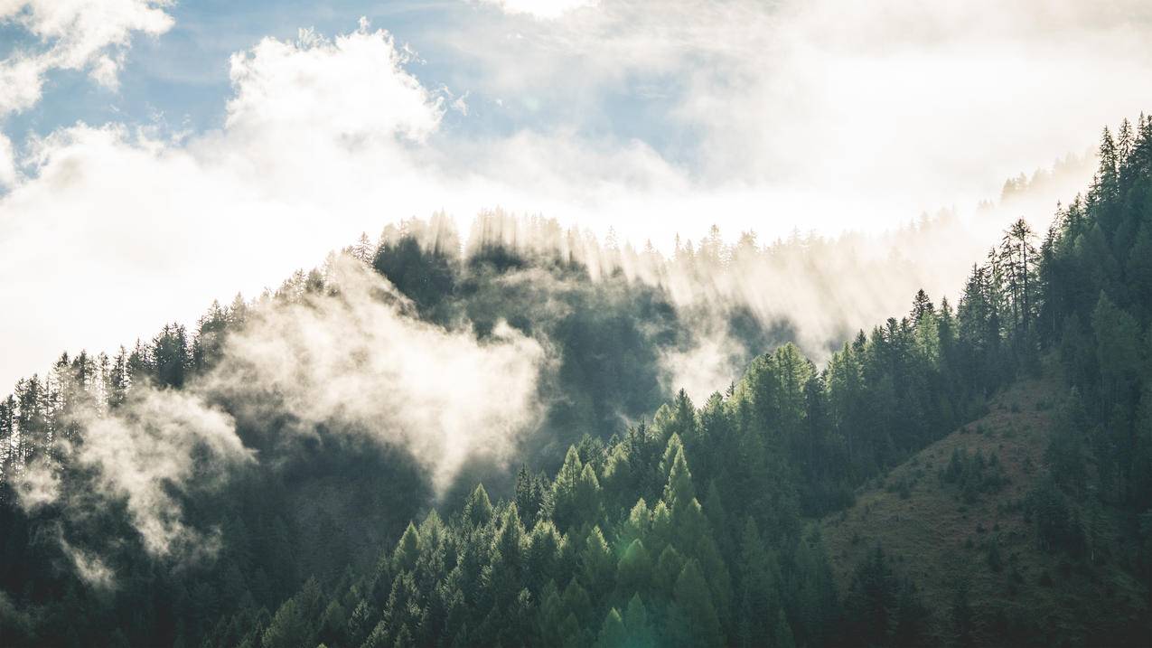 美丽的早晨 山林雾风光 4k风景高清壁纸