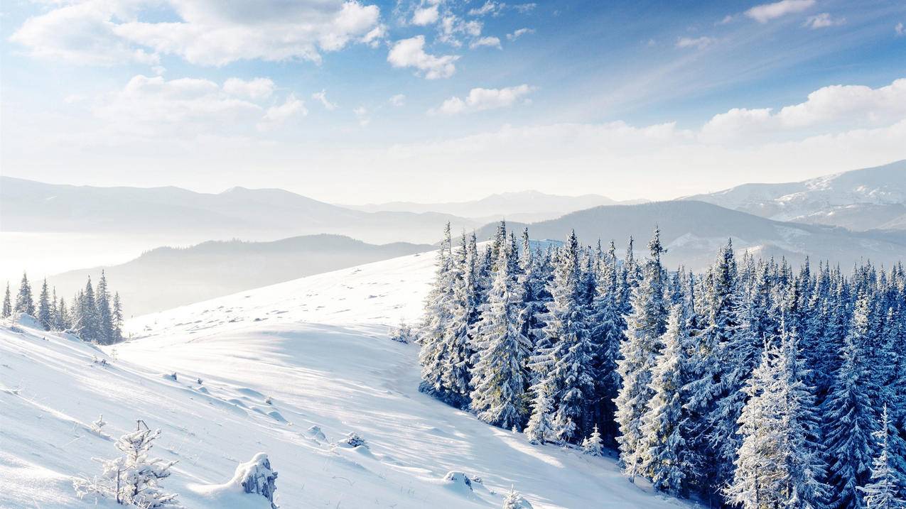 风景冰天雪地雪景高清壁纸