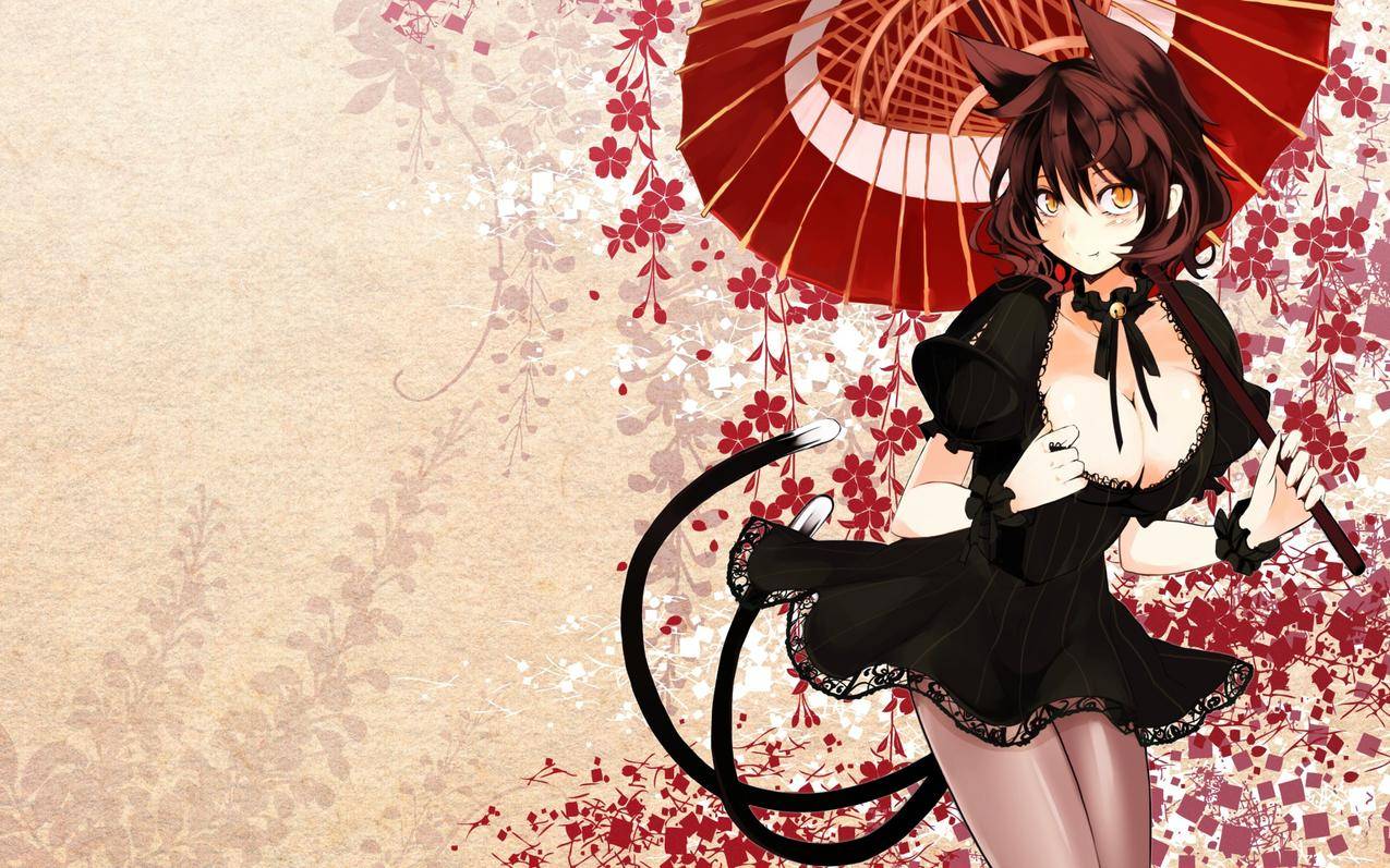猫女4k壁纸